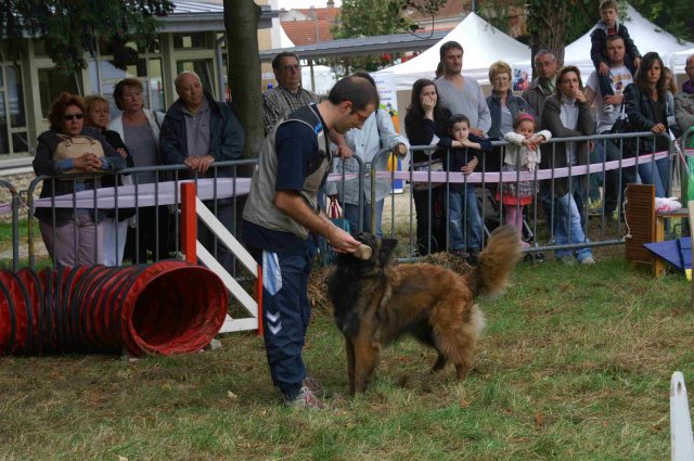 foire-haricots 2011-09-17et18